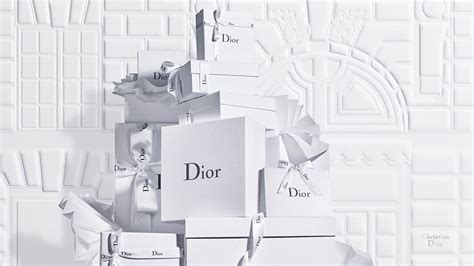 ao dior|dior official site.